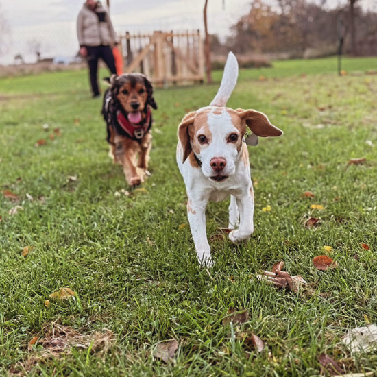 campingplatz-landidyll
