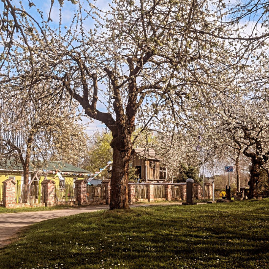 campingplatz-landidyll