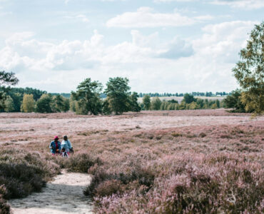 Beitragsbild-Ausflugsziele-Lueneburger-Heide