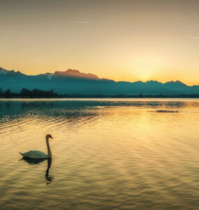 Beitragsbild Camping Chiemsee