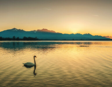 Beitragsbild Camping Chiemsee