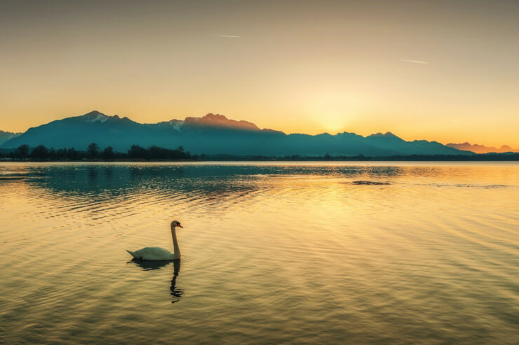 Beitragsbild Camping Chiemsee