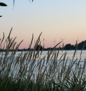 Beitragsbild Camping Elbe