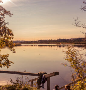 Beitragsbild Camping Großer Brombachsee