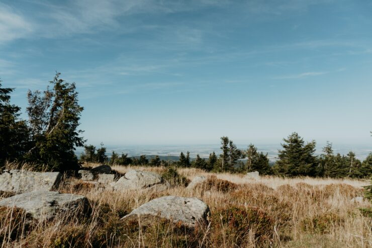 Beitragsbild Camping Harz