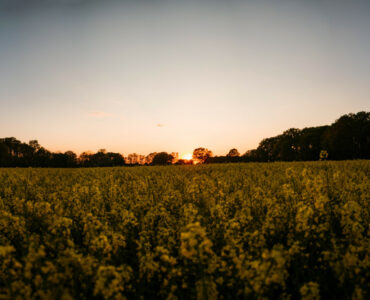 Beitragsbild Camping Niederrhein