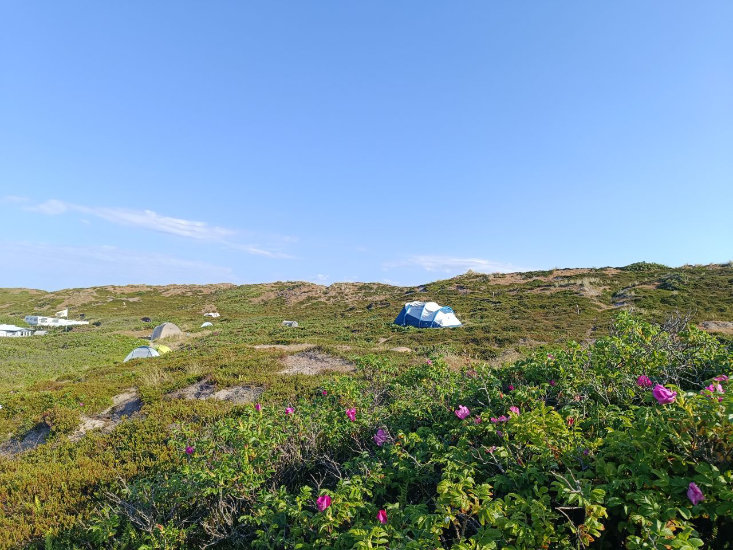campingplatz-hoernum
