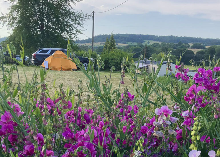 Campingplatz-Gross-Eichen