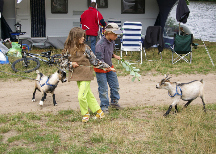 Campingplatz zum Hexenwaeldchen