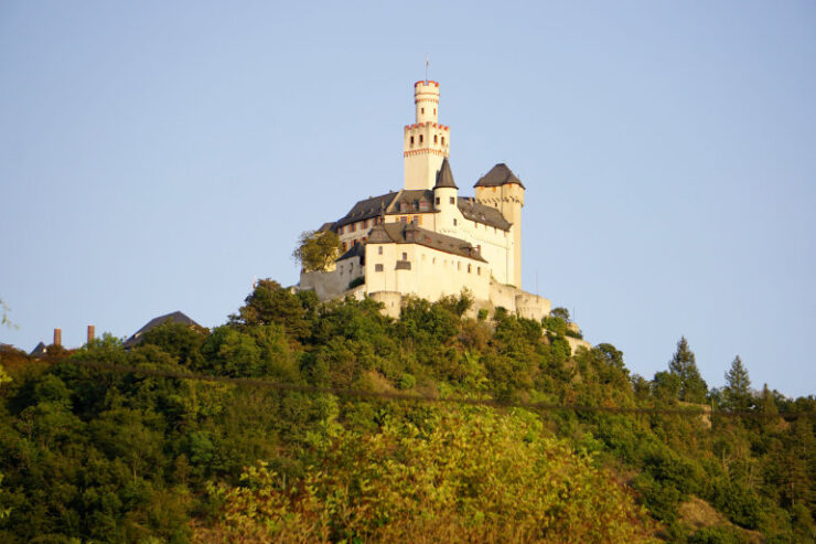 green-camping-am-rhein