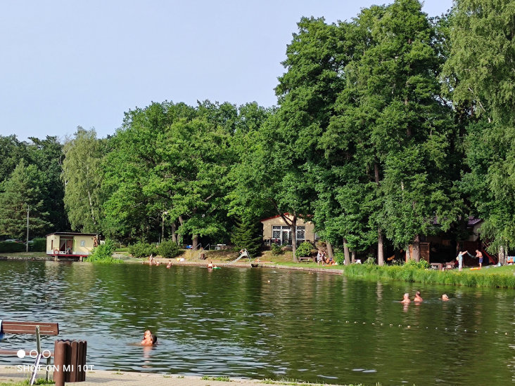 Campingplatz-Waldbad-Oberau