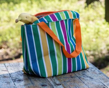 Mini-Kuehltasche-Beitragsbild