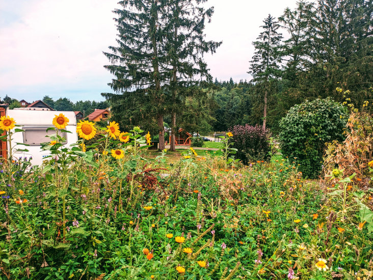 Wohnmobil-und-Campingpark-Ambergau