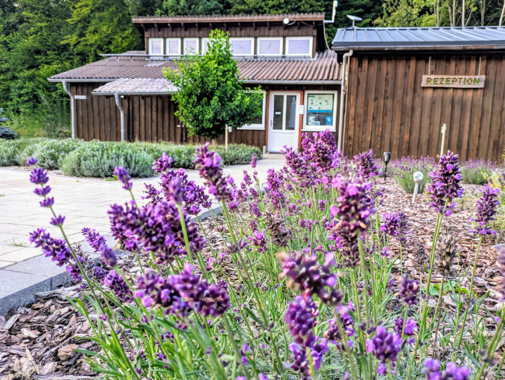 Wohnmobil-und-Campingpark-Ambergau