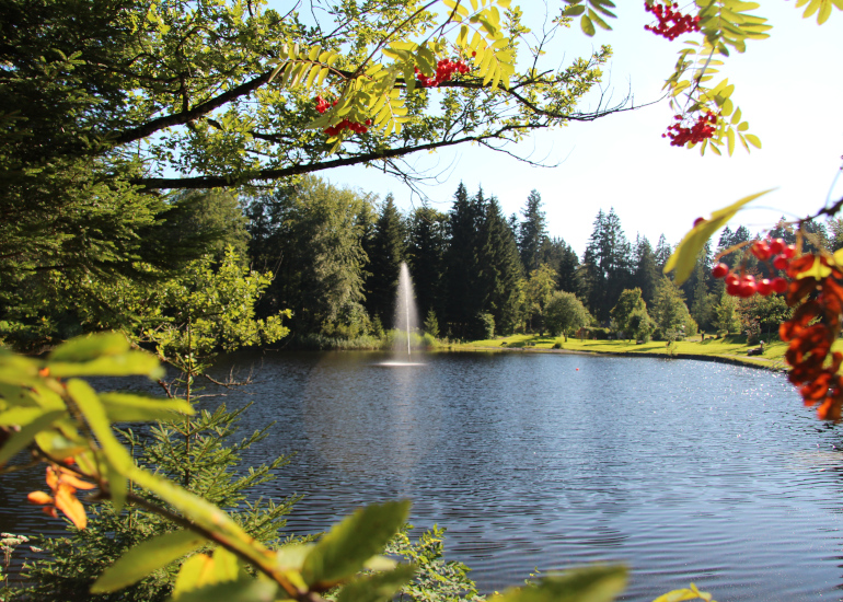 Waldbad-Camping-Isny