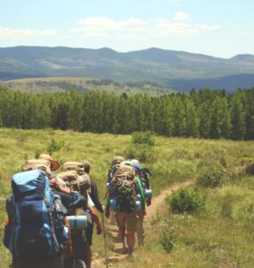 wohin wandern deutsche aus