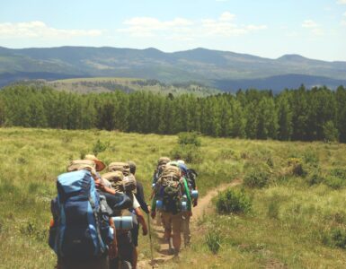 wohin wandern deutsche aus
