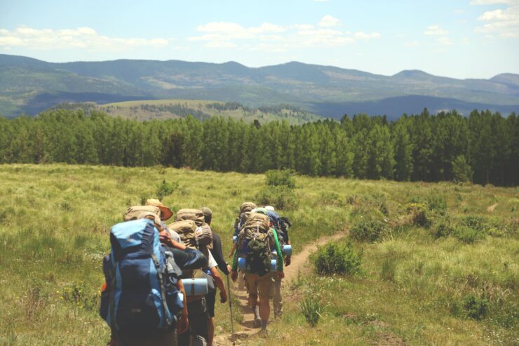 wohin wandern deutsche aus