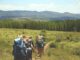 wohin wandern deutsche aus