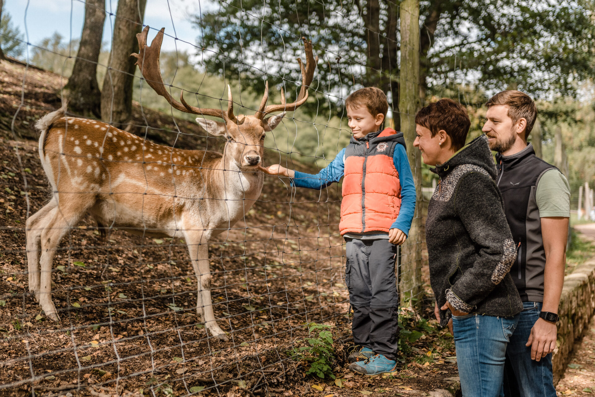 Wildpark-Osterzgebirge