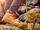 bergsteigerschuhe-header