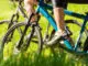 bikepacking-schuh-header