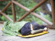 camping-kissen-header