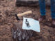 campingaxt-header