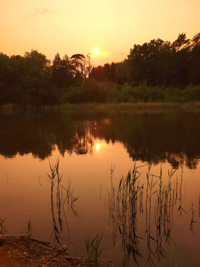 ferienpark-moraenasee