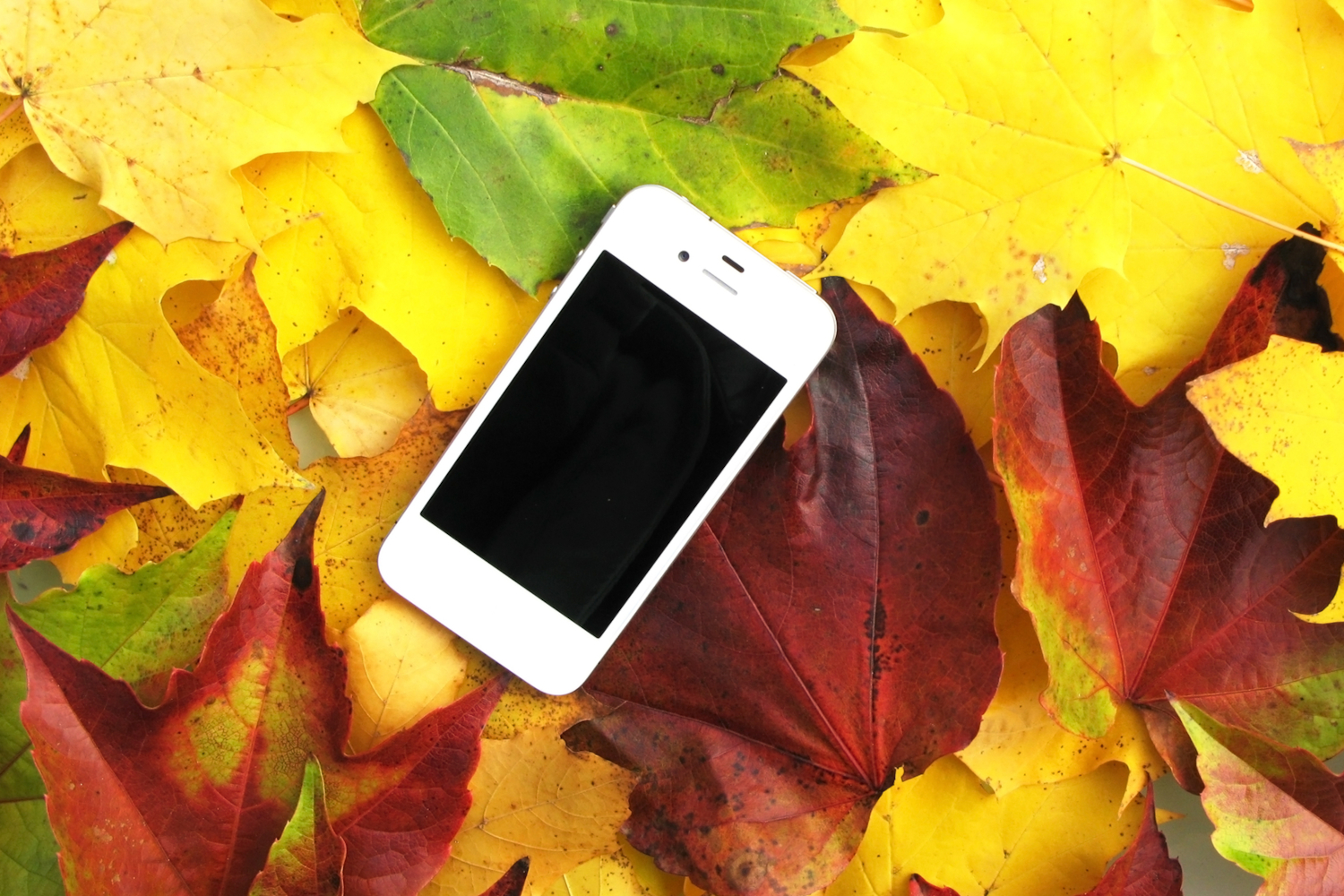 Die besten GSMVerstärker? (Test & Vergleich 2024)