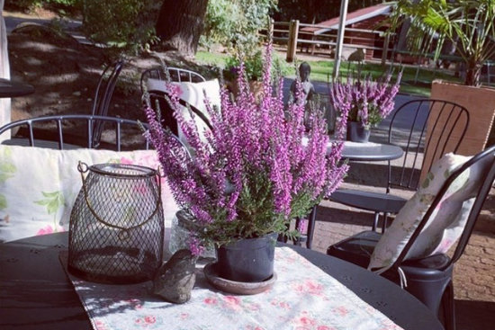 ferienpark-moraenasee