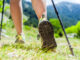nordic-walking-schuhe-header
