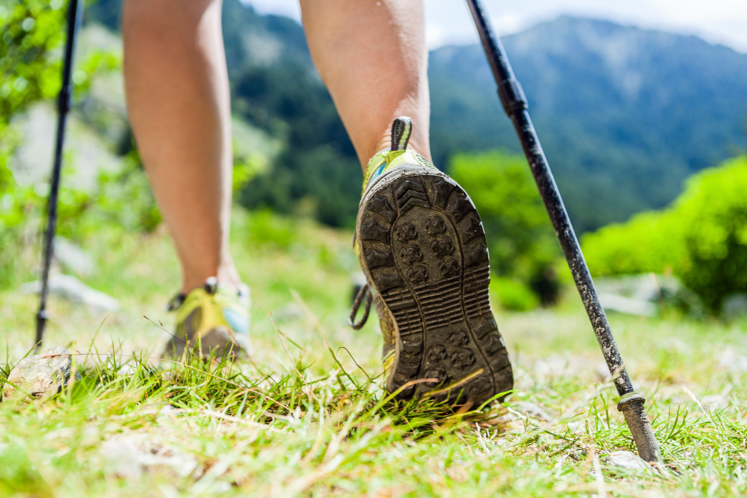 Wirwar temperament Het beste Nordic-Walking-Schuhe: Die 7 besten Modelle 2023?