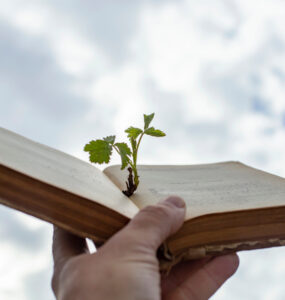 pflanzenbestimmungsbuch-header