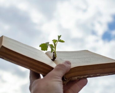 pflanzenbestimmungsbuch-header