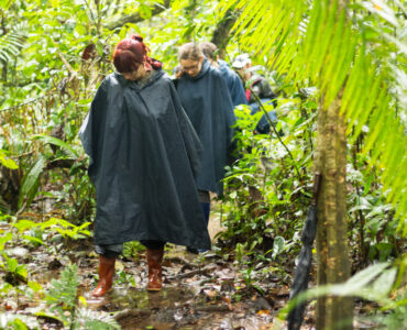 regenponcho