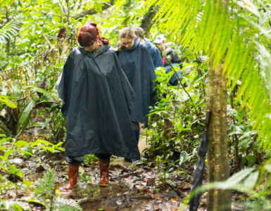regenponcho