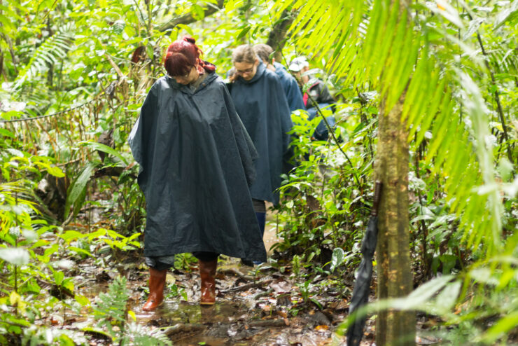 regenponcho