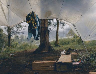 tarp