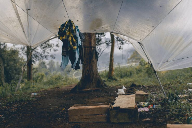 tarp