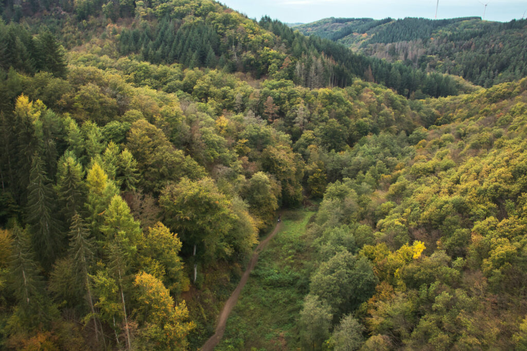 trekking-soonwaldsteig-hunsrueck