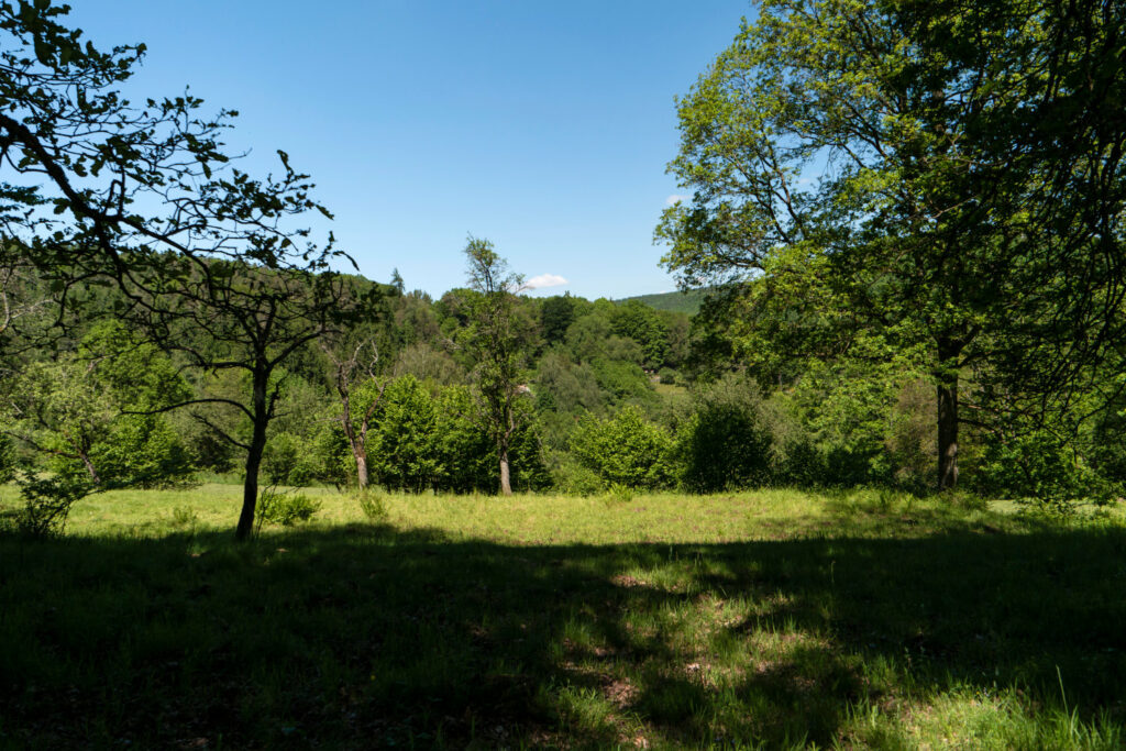 trekking-spessart