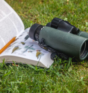 vogelbestimmungsbuch-header