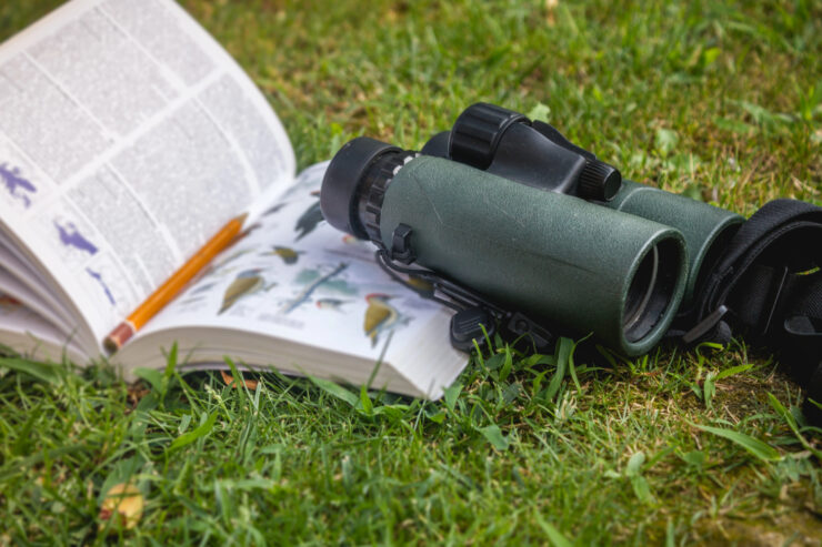 vogelbestimmungsbuch-header