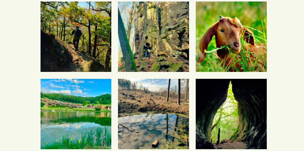 wanderwege-deutschland-eifelsteig