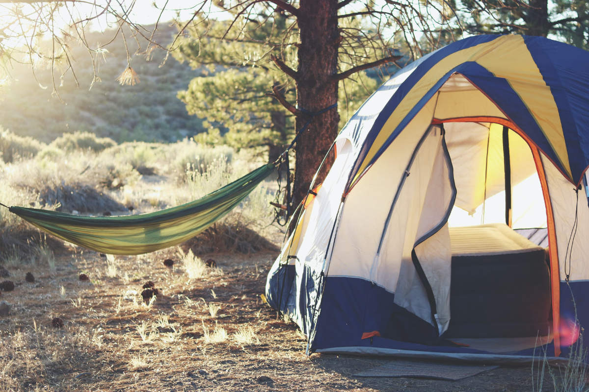 tree tent Tentsile Safari Stingray 3-Person Tree Tent (3.0)